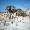 Kubu Island in den Makgadikgadi Pfannen